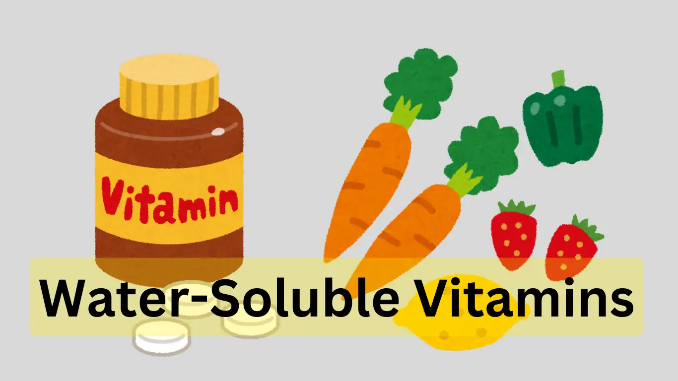 Water-Soluble Vitamins