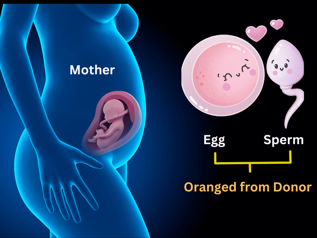 Gestational Surrogacy Concept - Surrogate Mother and Baby Illustration