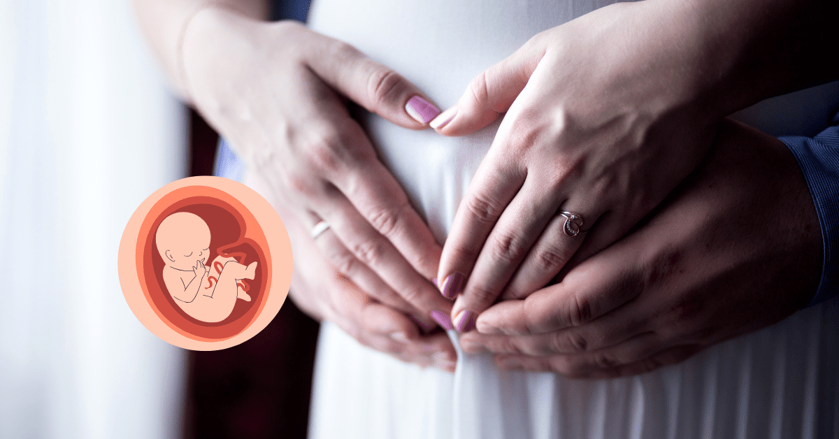 Precautions During Pregnancy