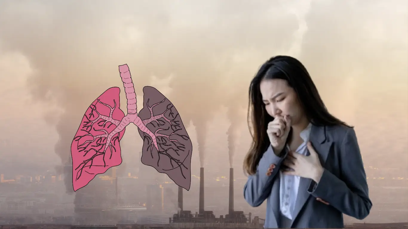 Impact of Air Pollution on Lung Health