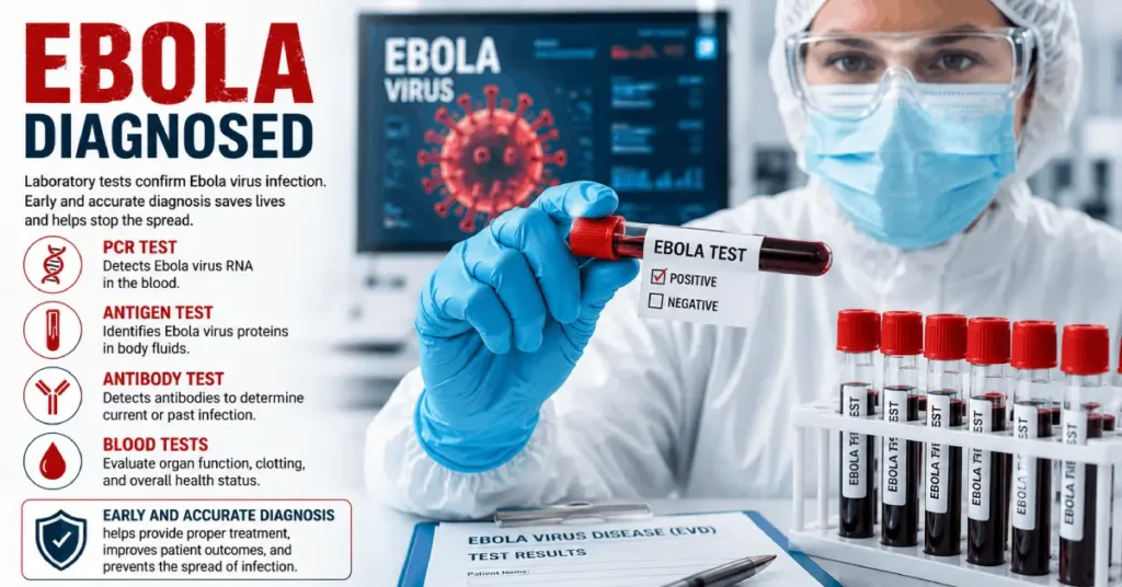 Healthcare worker performing Ebola virus laboratory testing with blood sample and diagnostic equipment in a medical lab.